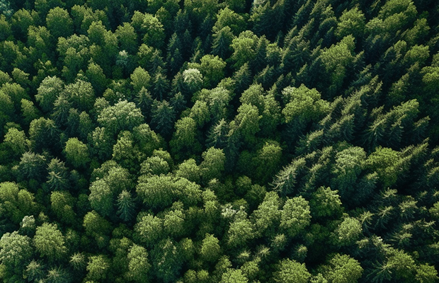 Pr&eacute;sentation de solutions d'&eacute;tiquettes et d'adh&eacute;sifs &eacute;cologiques
